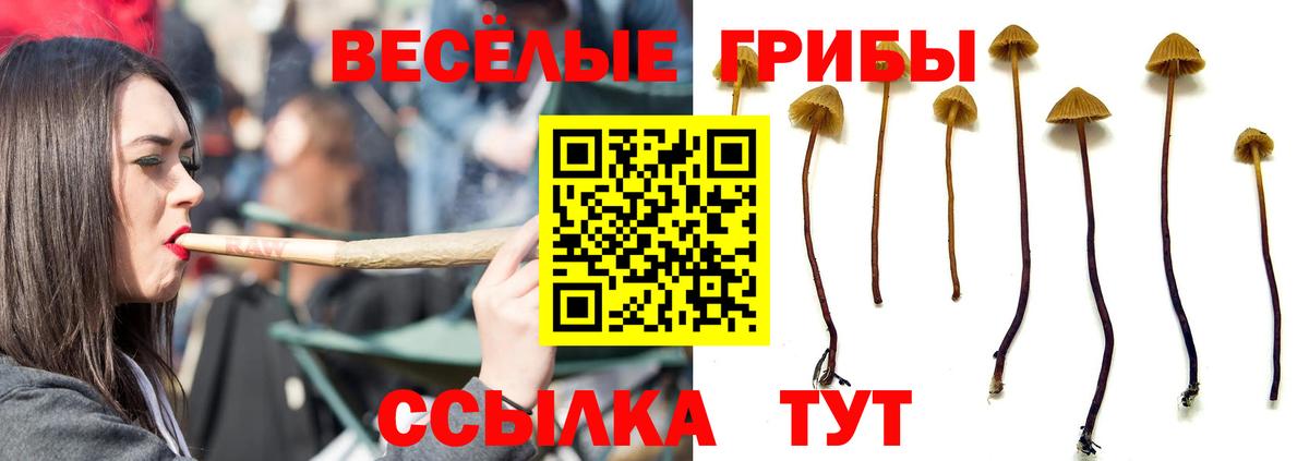 Псилоцибиновые грибы прущие грибы  Вход с VPN  Дзержинский 